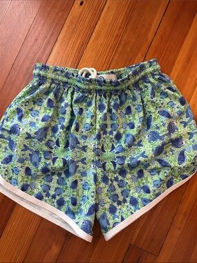 Whimsical Athletic Shorts - Fish